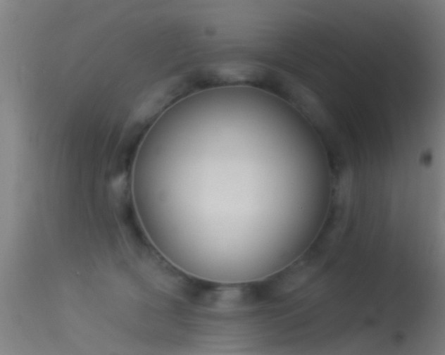 X0000114130418200910151550