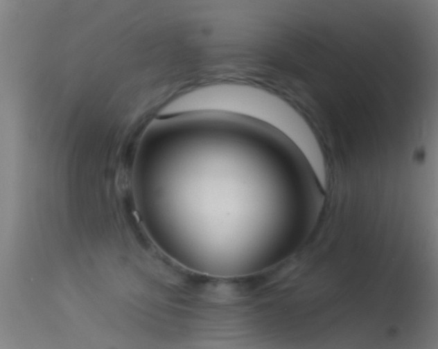 X0000114130419200910151550