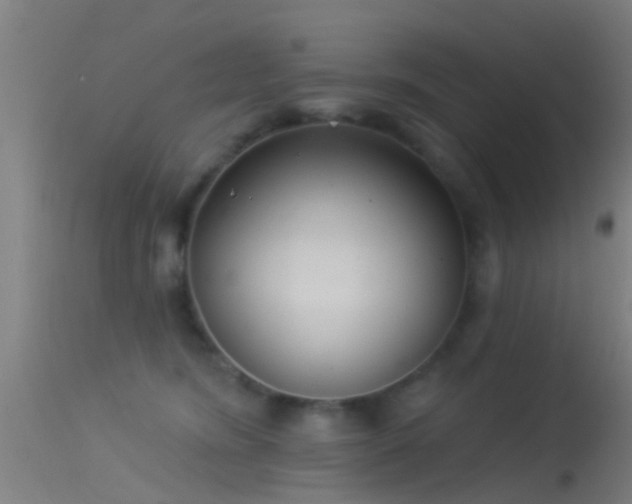 X0000114130420200910151550