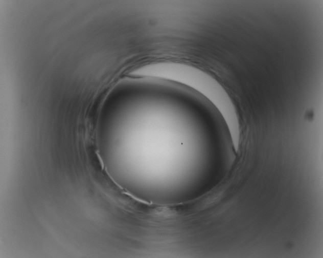 X0000114130421200910151550