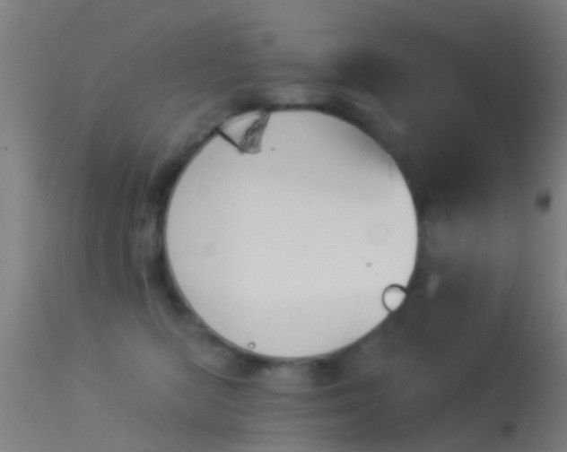 X0000114130422200910151550