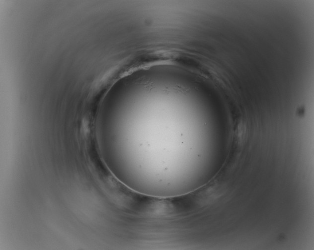 X0000114130424200910151550