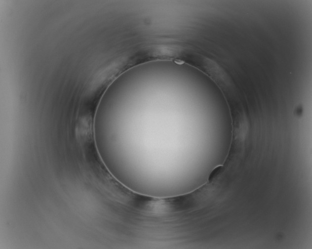 X0000114130425200910151550