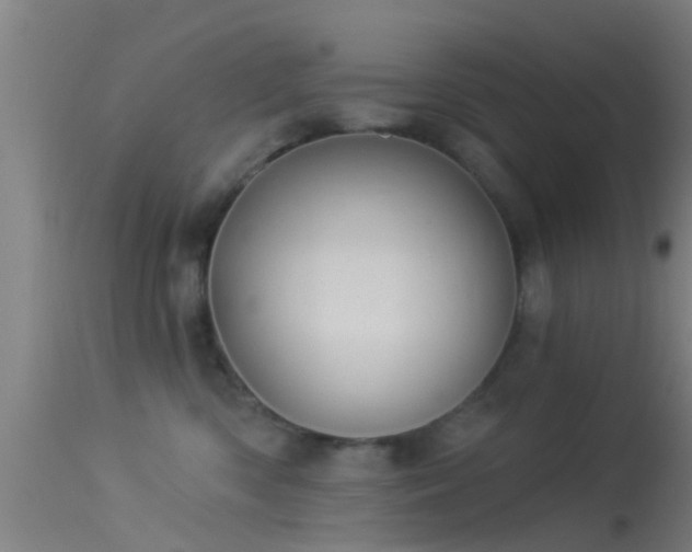 X0000114130426200910151550