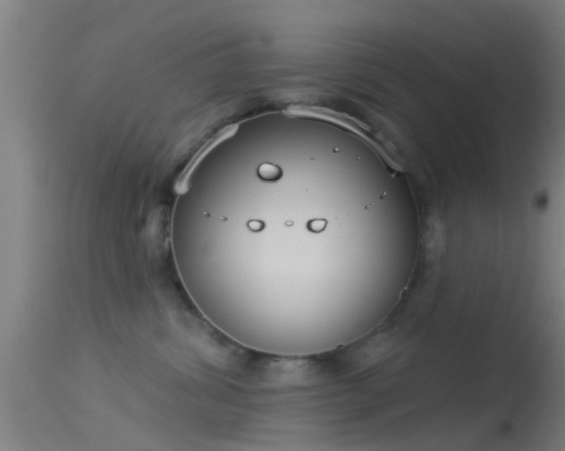 X0000114130428200910151550