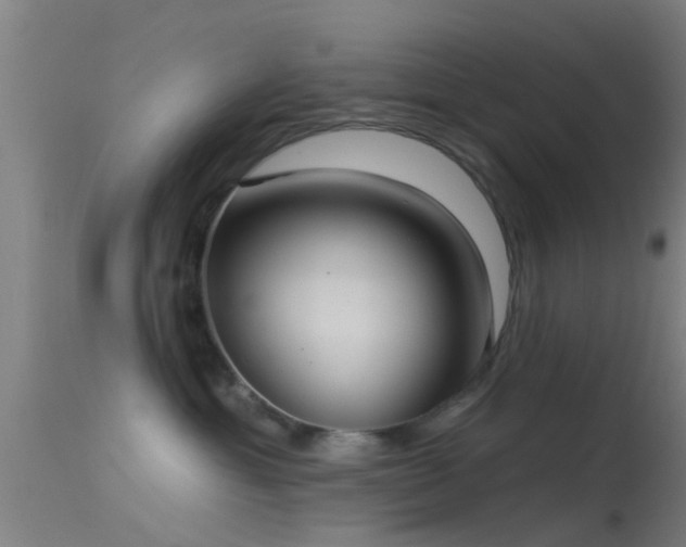 X0000114130429200910151550