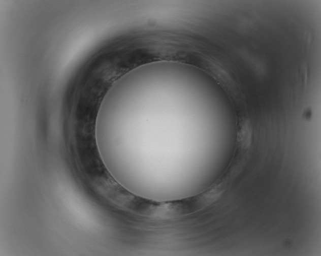 X0000114130430200910151550