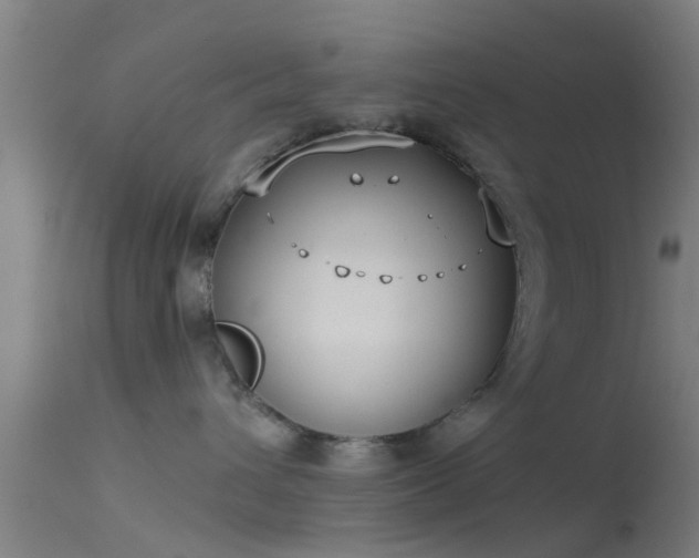 X0000114130432200910151549