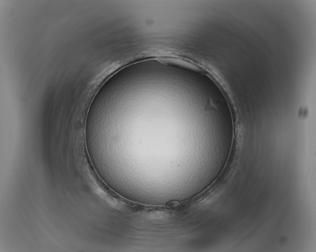 X0000114130433200910151549