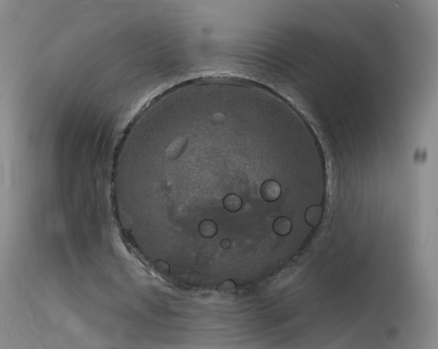 X0000114130434200910151549