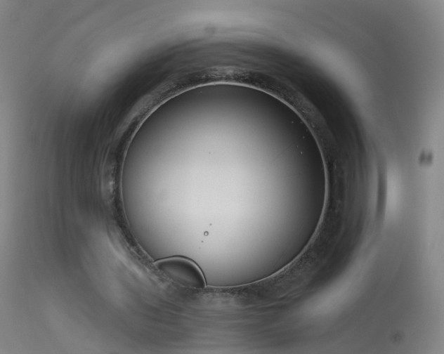 X0000114130435200910151549