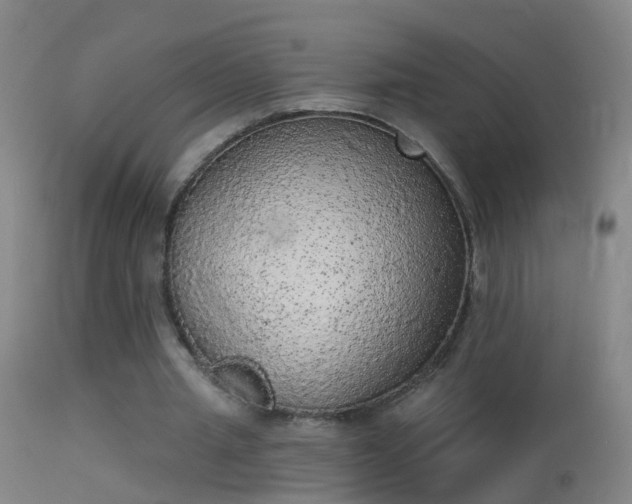 X0000114130437200910151549