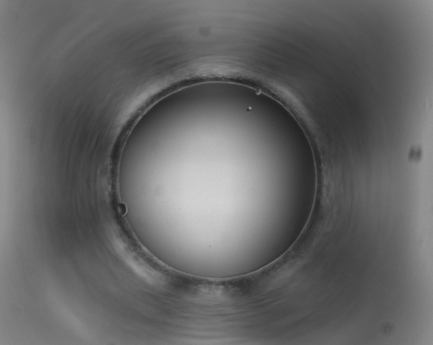 X0000114130439200910151549