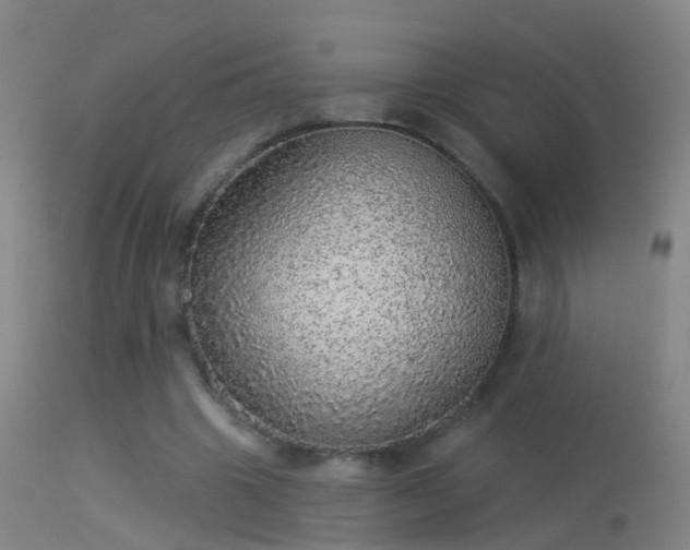 X0000114130441200910151549