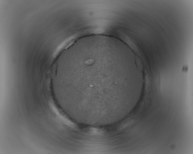 X0000114130442200910151549