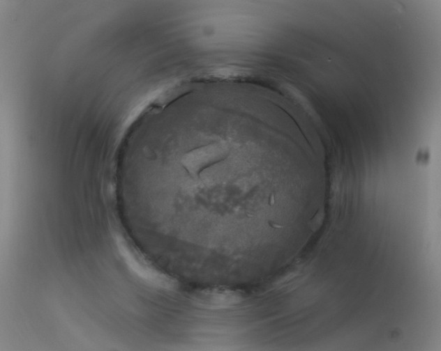 X0000114130443200910151549