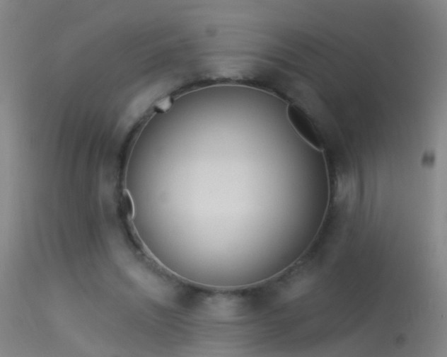 X0000114130444200910151549