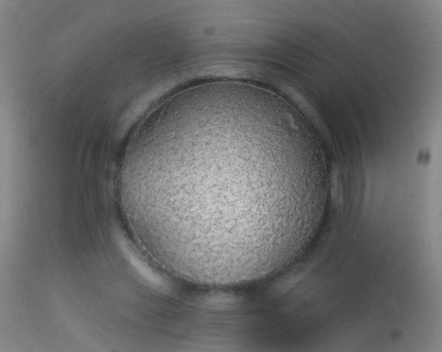 X0000114130445200910151549