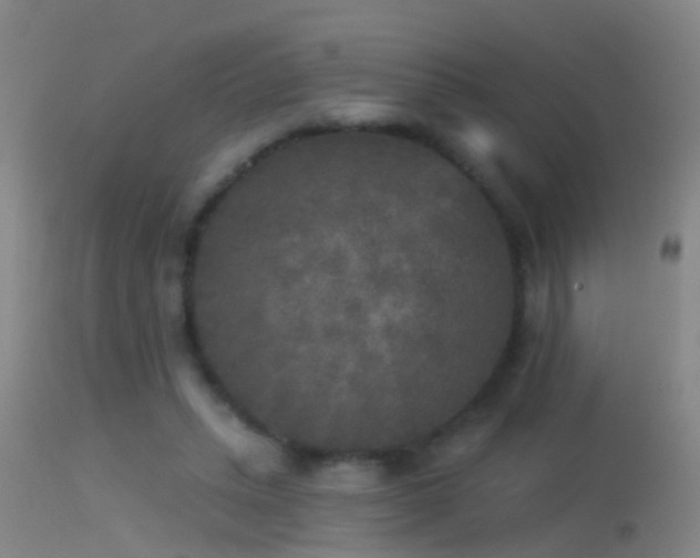 X0000114130447200910151549