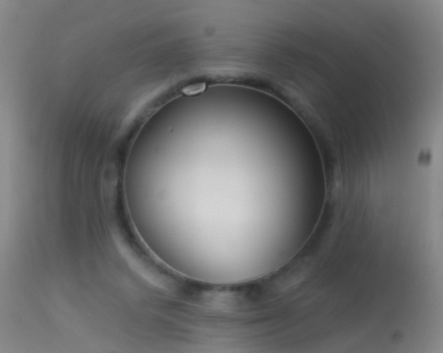 X0000114130448200910151549