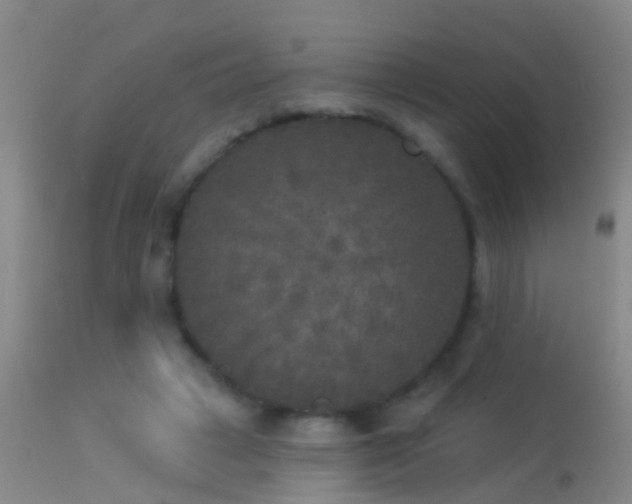 X0000114130449200910151549