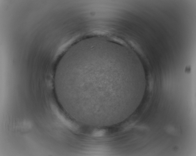 X0000114130450200910151549