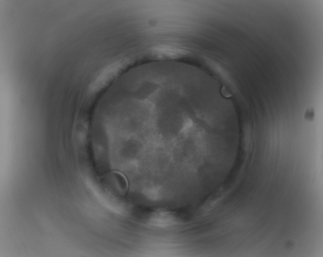 X0000114130451200910151549