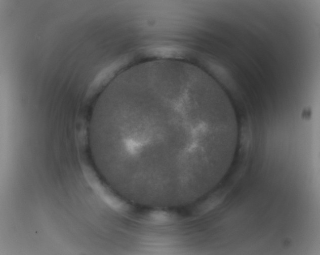 X0000114130453200910151549