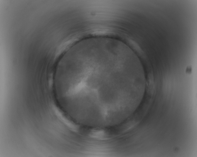 X0000114130454200910151549