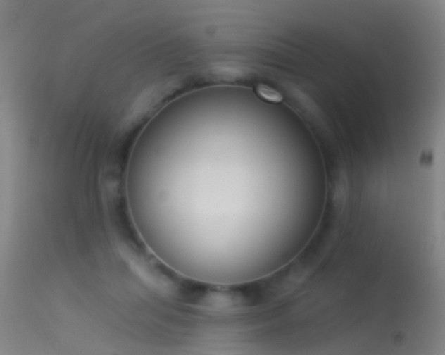 X0000114130455200910151549