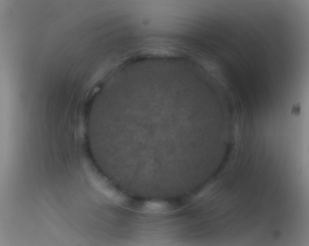 X0000114130457200910151549