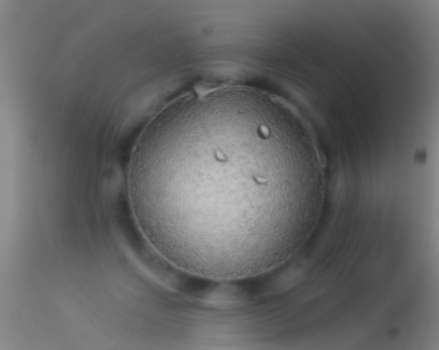 X0000114130459200910151549