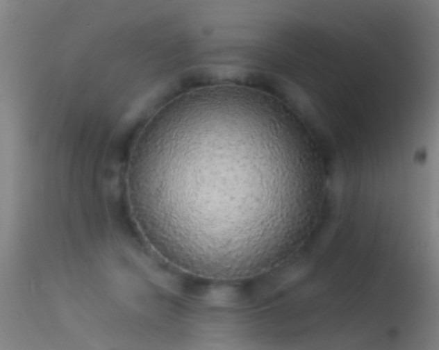 X0000114130462200910151549