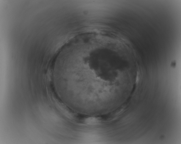 X0000114130465200910151549