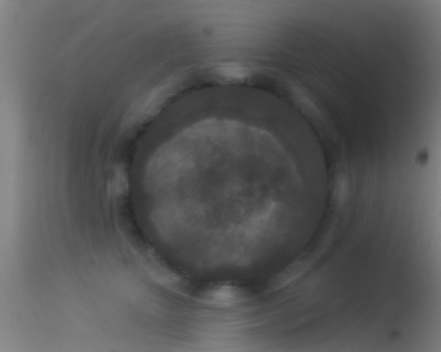 X0000114130467200910151549