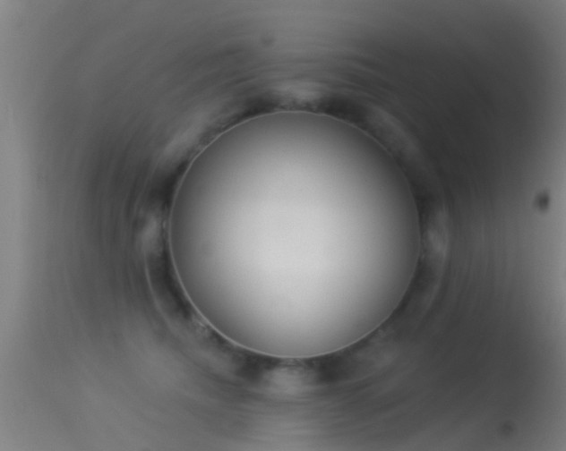 X0000114130468200910151549