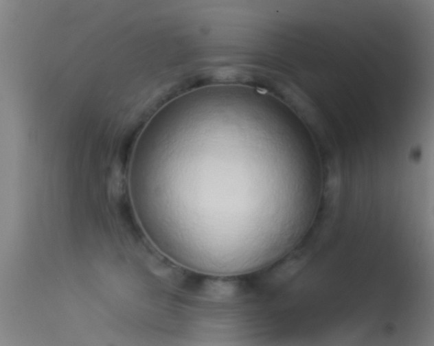 X0000114130469200910151549