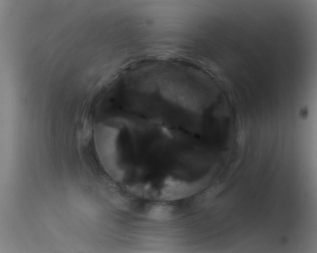 X0000114130471200910151549