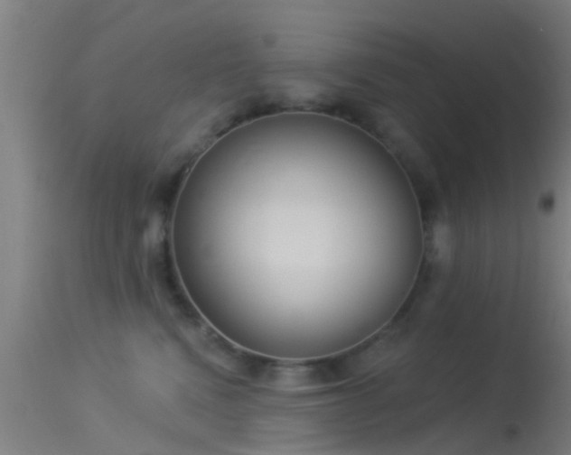 X0000114130472200910151549