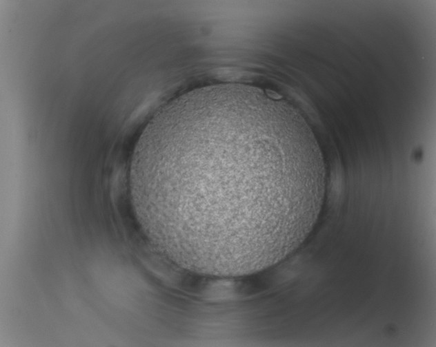 X0000114130473200910151549