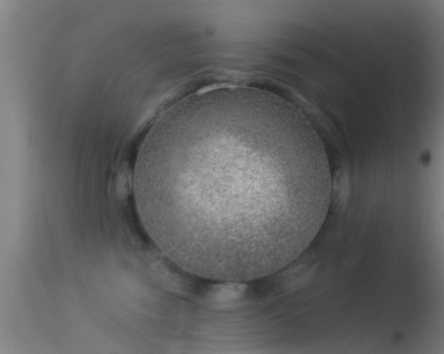 X0000114130474200910151549