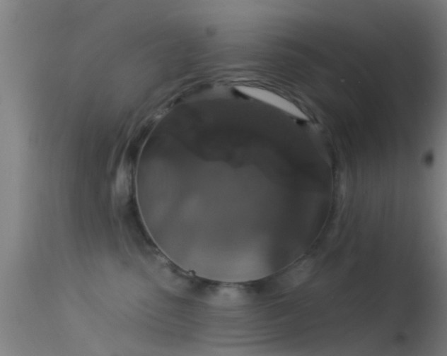 X0000114130475200910151549