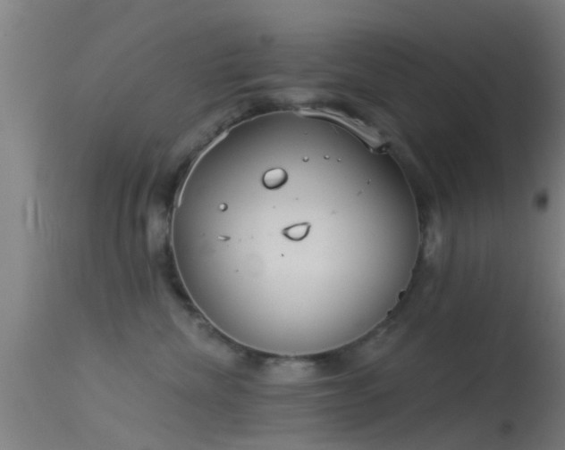 X0000114130476200910151549