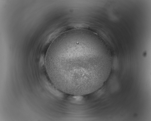 X0000114130478200910151549