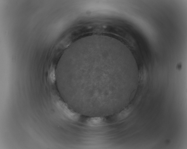 X0000114130479200910151549