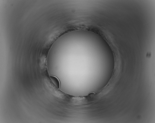 X0000114130480200910151549