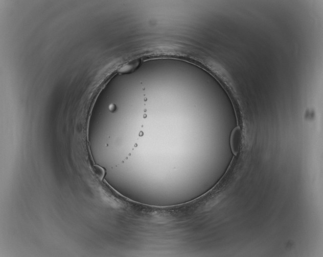 X0000114130481200910151549