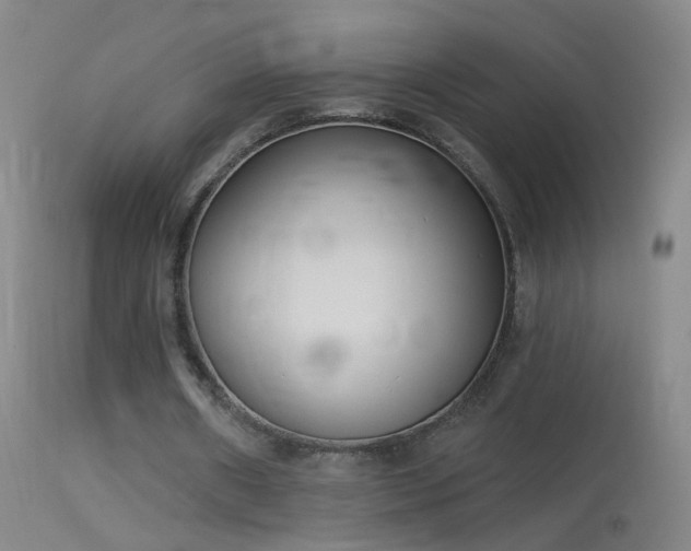 X0000114130482200910151549