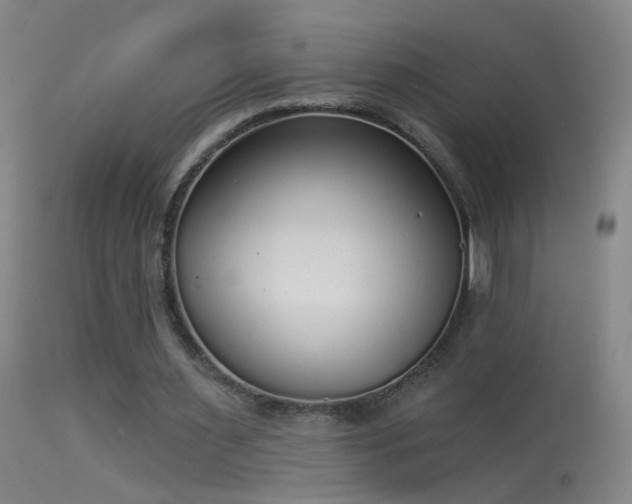 X0000114130483200910151549