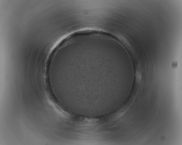 X0000114130484200910151549